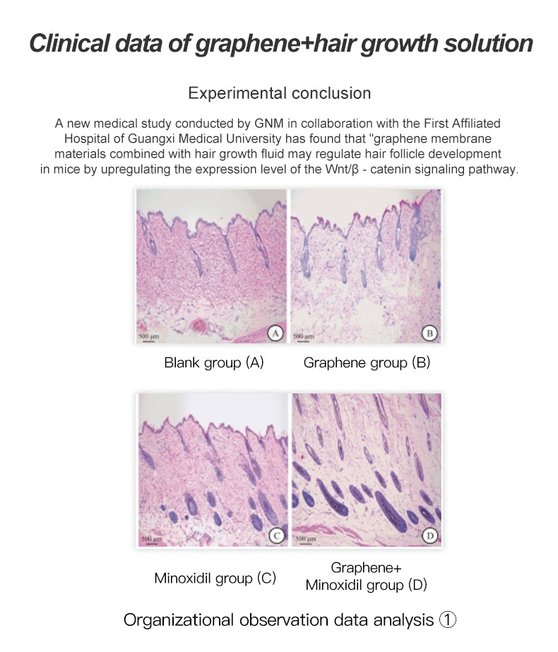 Zonn™ HL800 Graphene Far Infrared Hair Growth Cap with Massage - For Men and Women